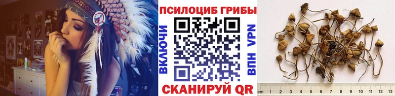 купить закладку  маркетплейс наркотические препараты  Галлюциногенные грибы Magic Shrooms  Астрахань 
